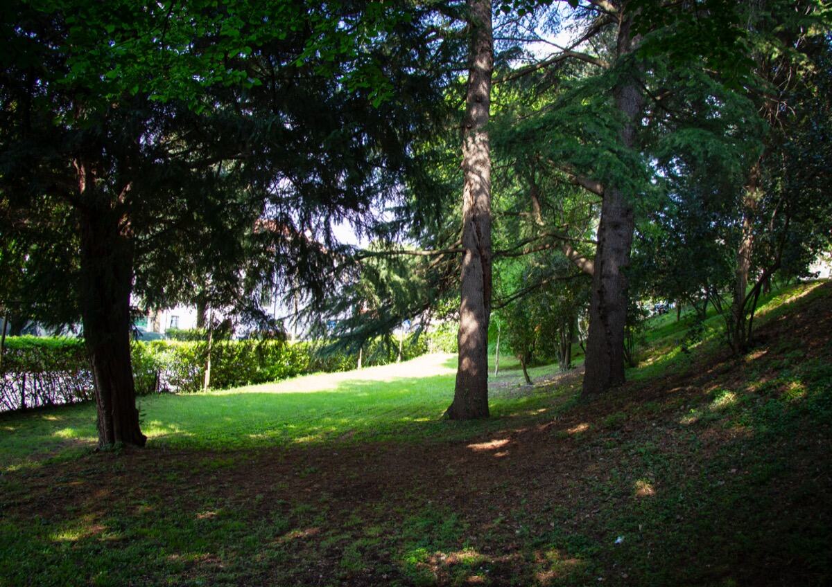 Parco secolare di Villa Giolai